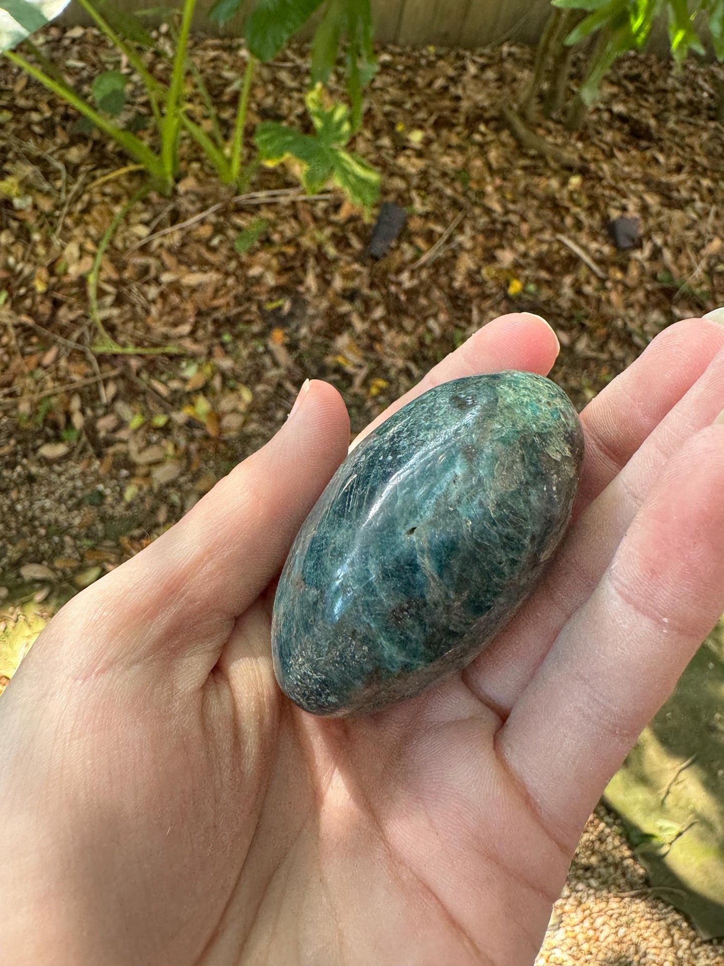 Blue/Green Apatite Palm Stone from Madagascar 116g Specimen Mineral Crystal