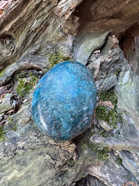 Blue/Green Apatite Palm Stone from Madagascar 116g Specimen Mineral Crystal