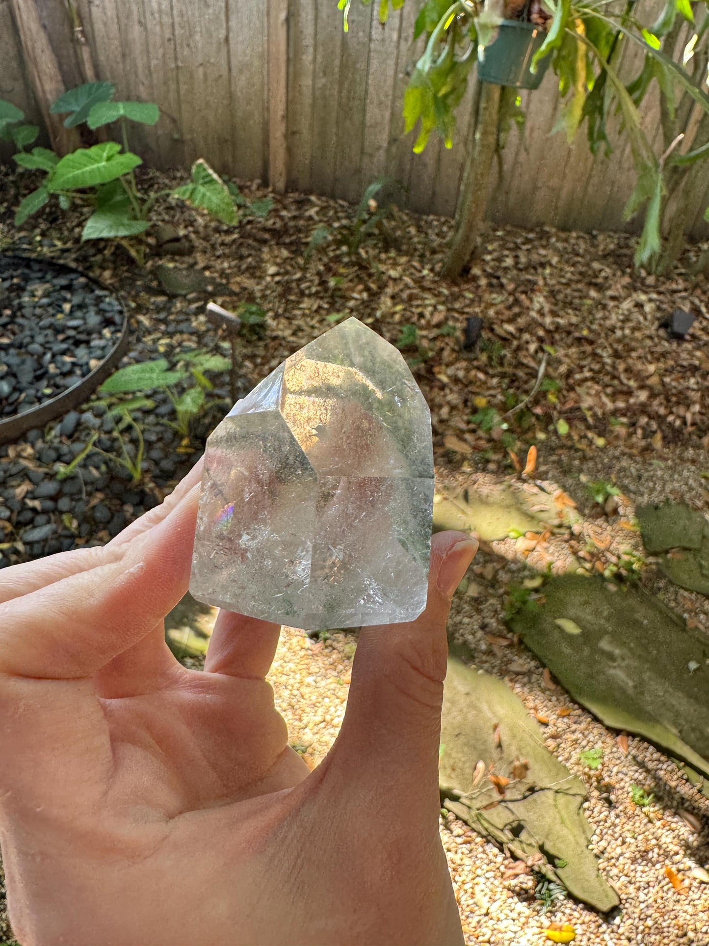 Polished Garden/Senic Quartz Point Specimen With Chlorite 183.3g