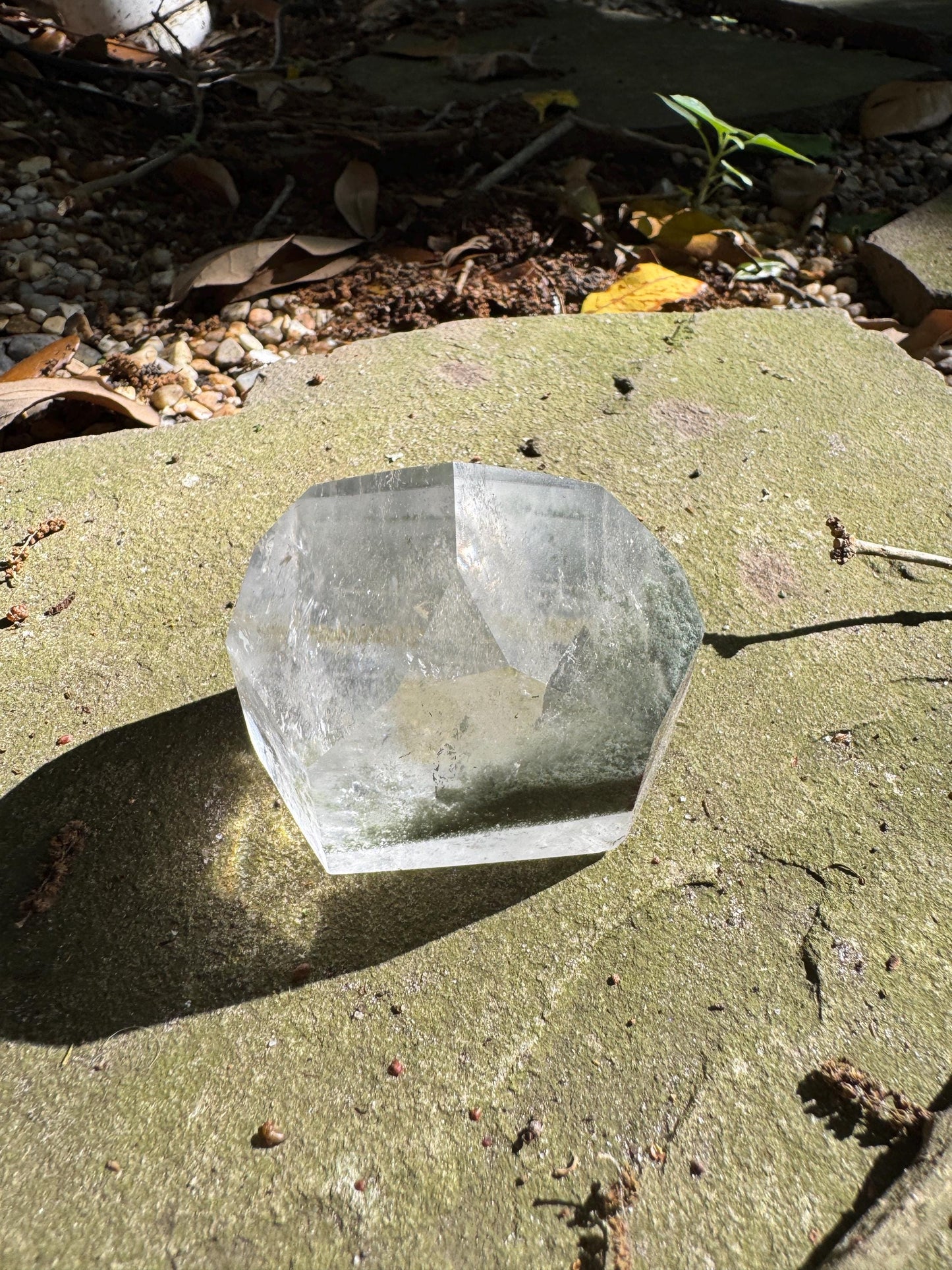 Polished Garden/Senic Quartz Point Specimen With Chlorite 183.3g