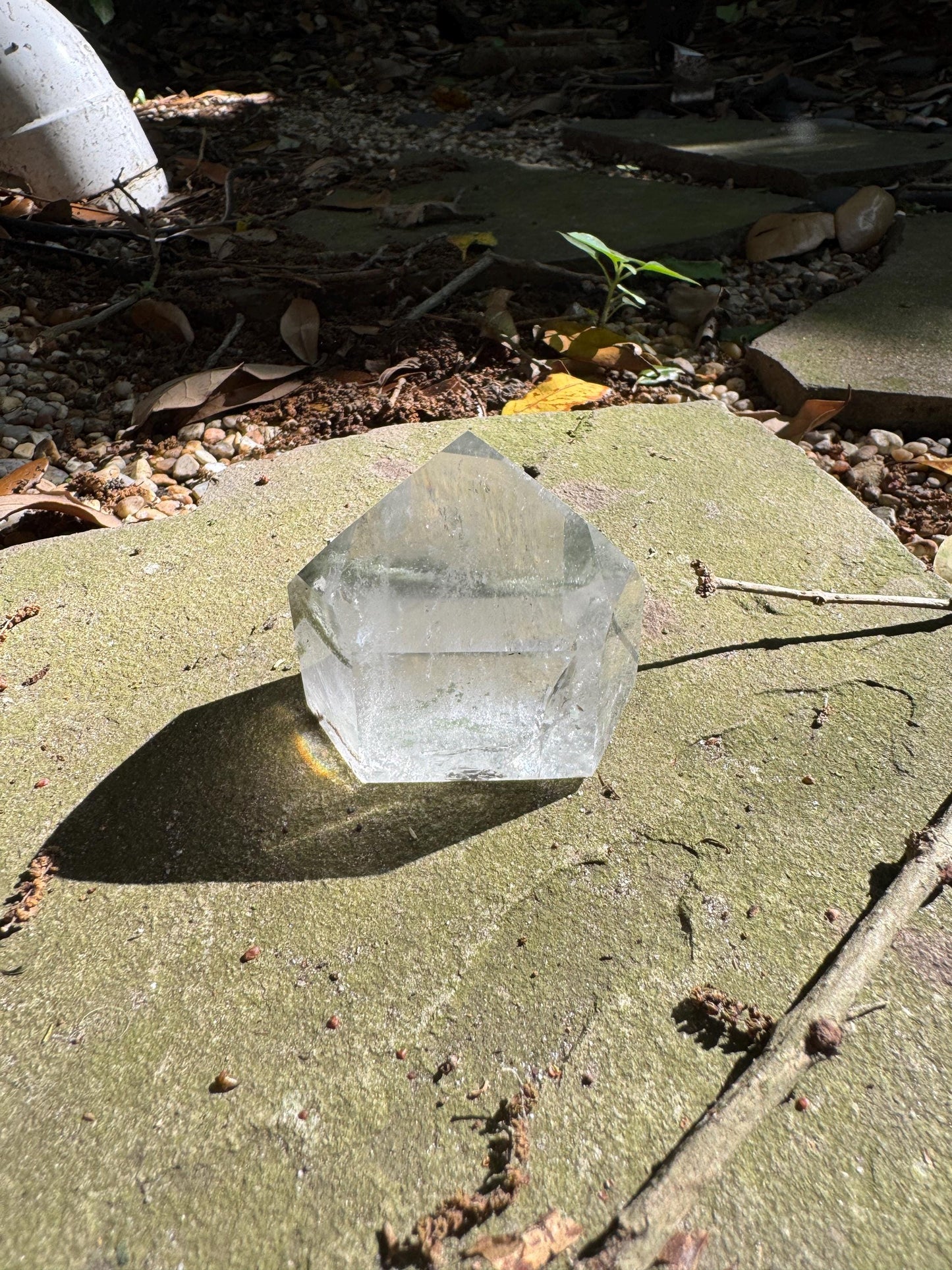 Polished Garden/Senic Quartz Point Specimen With Chlorite 183.3g