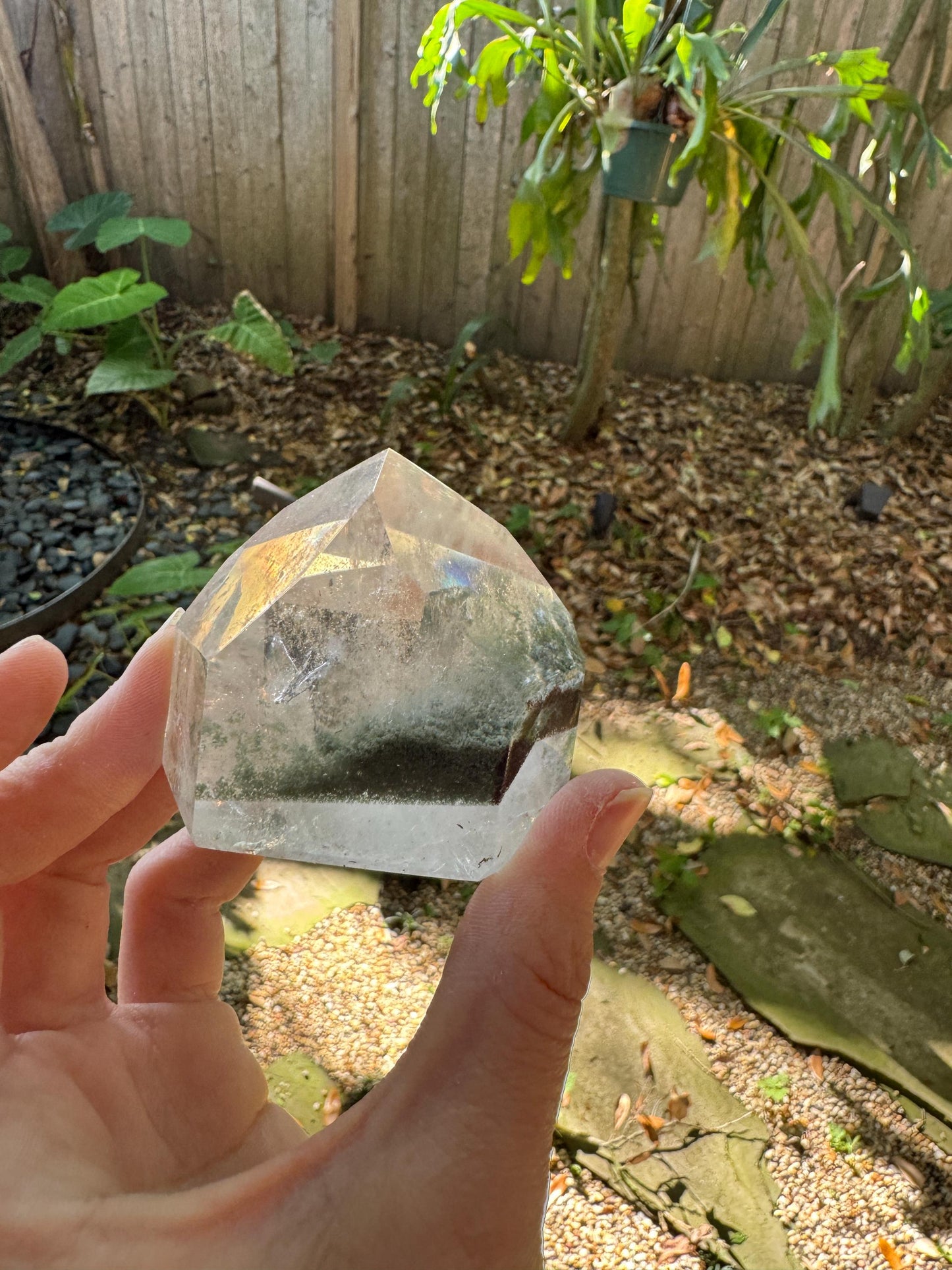 Polished Garden/Senic Quartz Point Specimen With Chlorite 183.3g