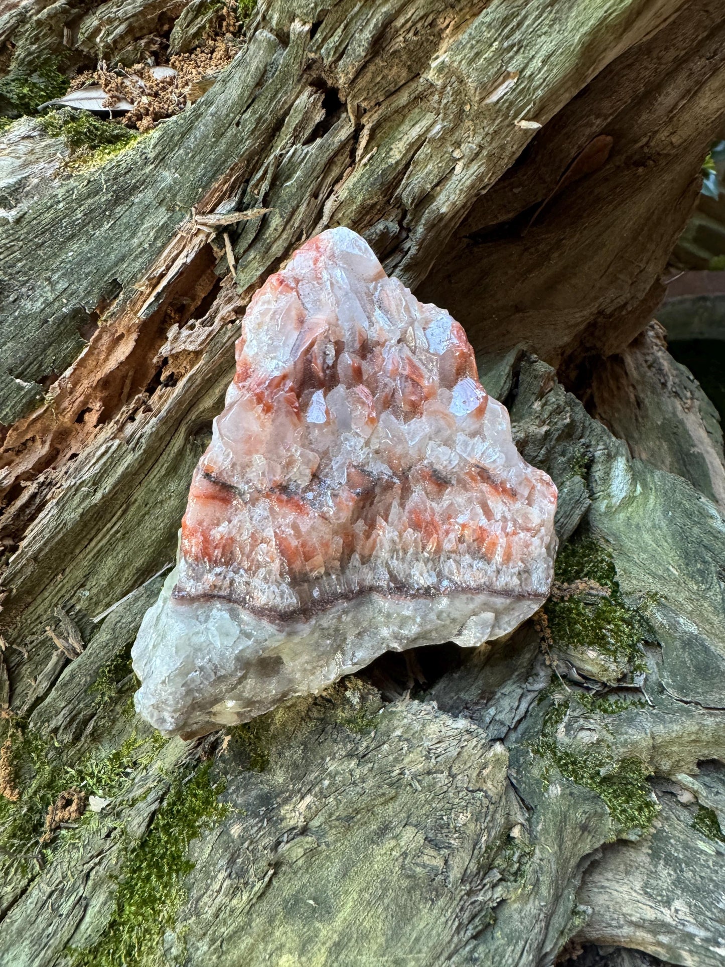 Stunning Tri-Color Calcite Display Specimen from Mexico, 508g 1lb 2oz Raw Crystal