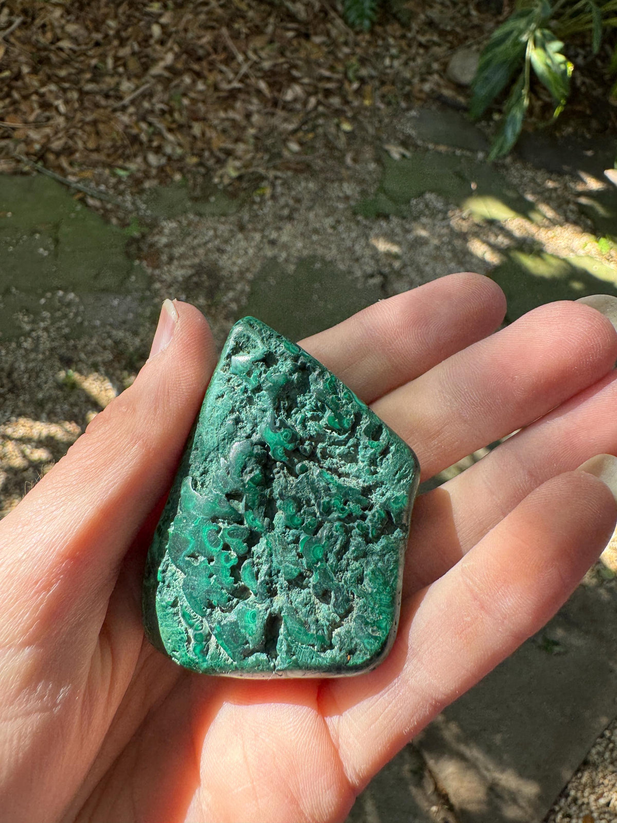 Polished Malachite Specimen: Congo Mineral Display 115.5g Crystal Collector