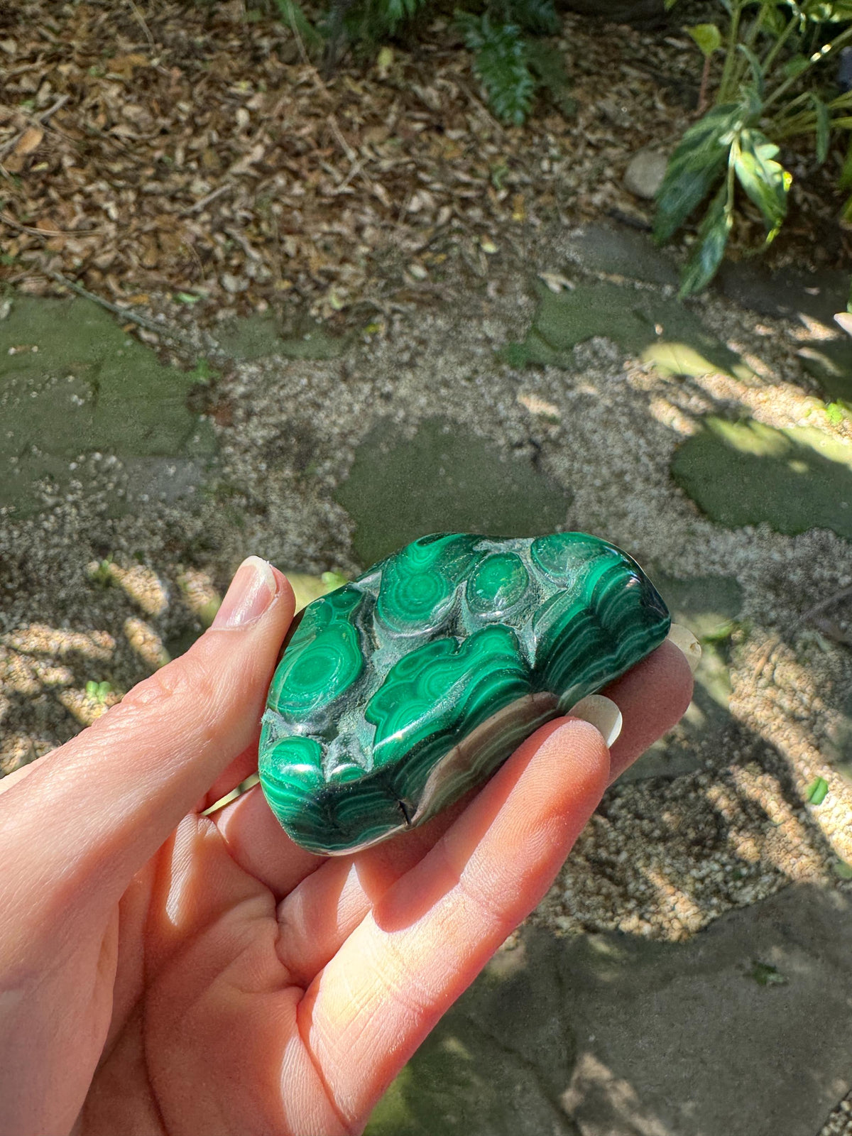 Polished Malachite Specimen: Congo Mineral Display 115.5g Crystal Collector
