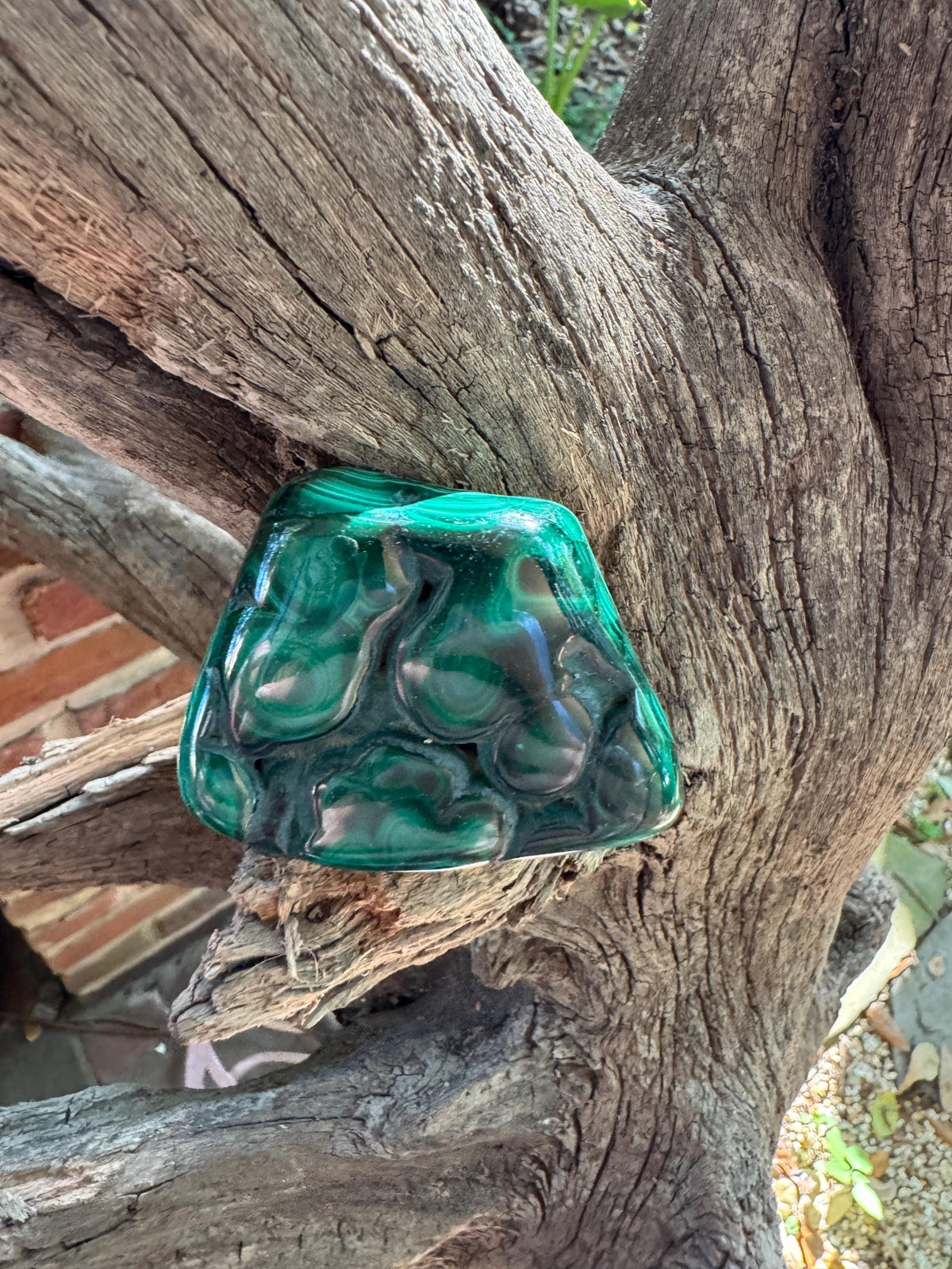 Polished Malachite Specimen: Congo Mineral Display 115.5g Crystal Collector