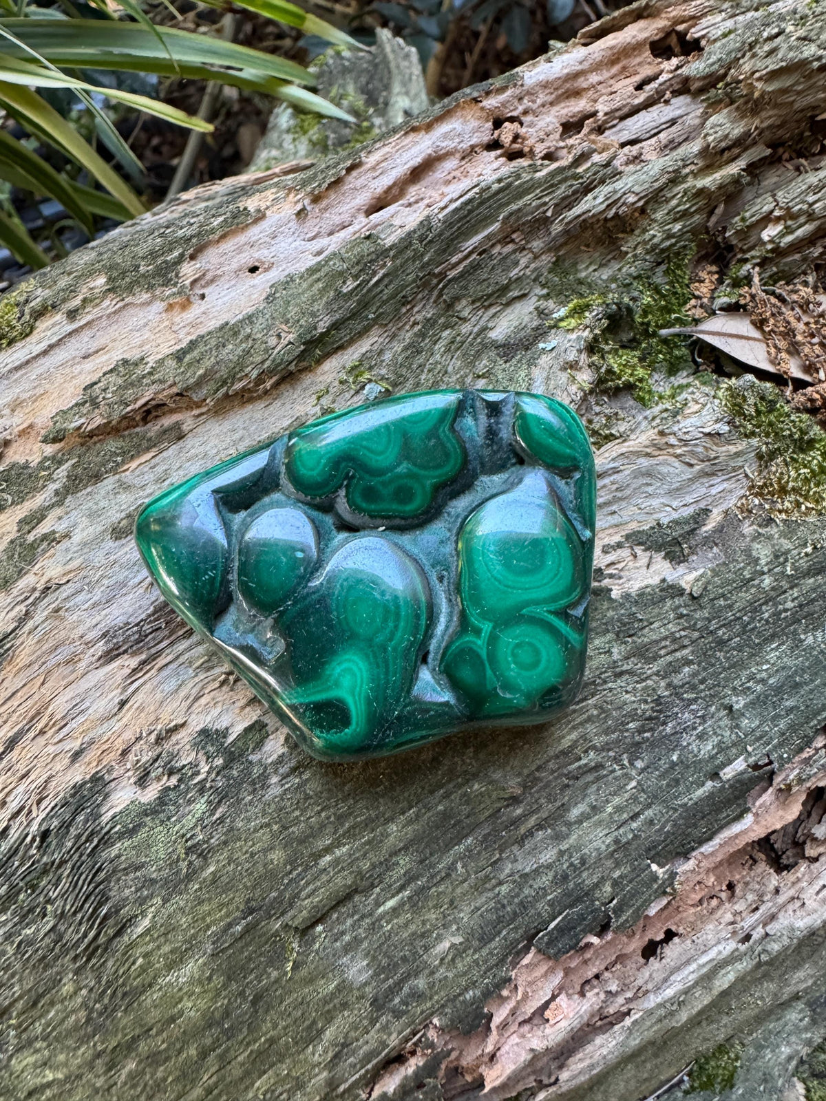 Polished Malachite Specimen: Congo Mineral Display 115.5g Crystal Collector