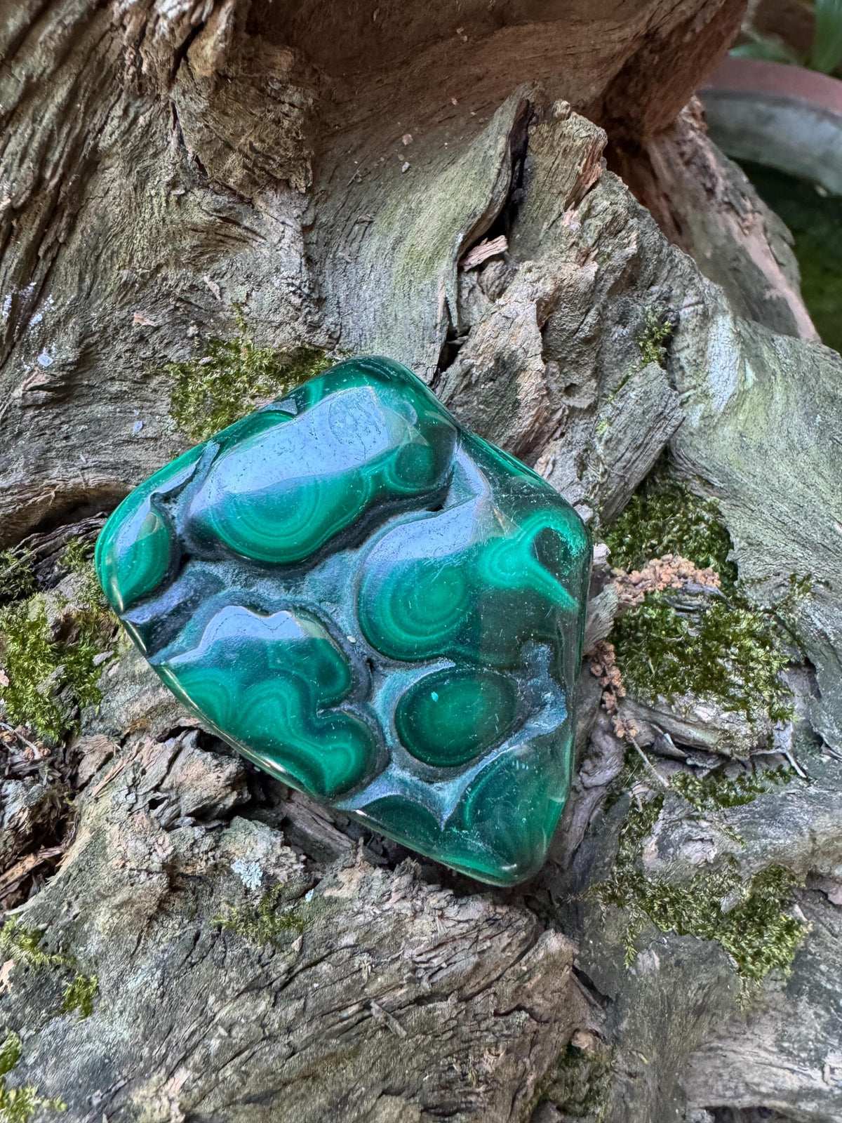 Polished Malachite Specimen: Congo Mineral Display 115.5g Crystal Collector