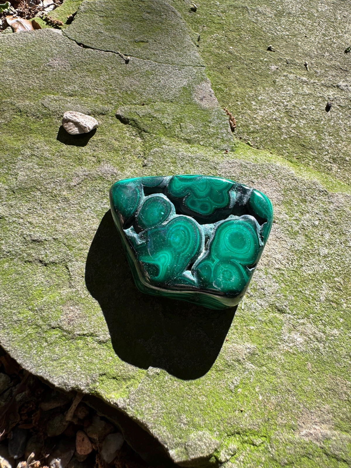 Polished Malachite Specimen: Congo Mineral Display 115.5g Crystal Collector