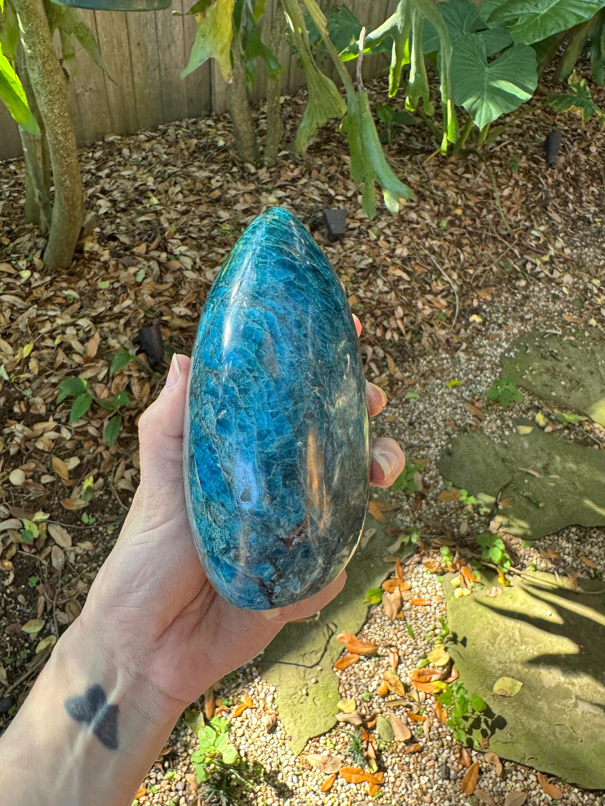 Medium Blue Apatite Polished Free Form from Madagascar 1196g 2lbs 10.2oz Specimen