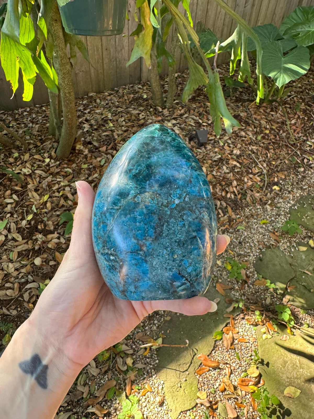 Medium Blue Apatite Polished Free Form from Madagascar 1196g 2lbs 10.2oz Specimen