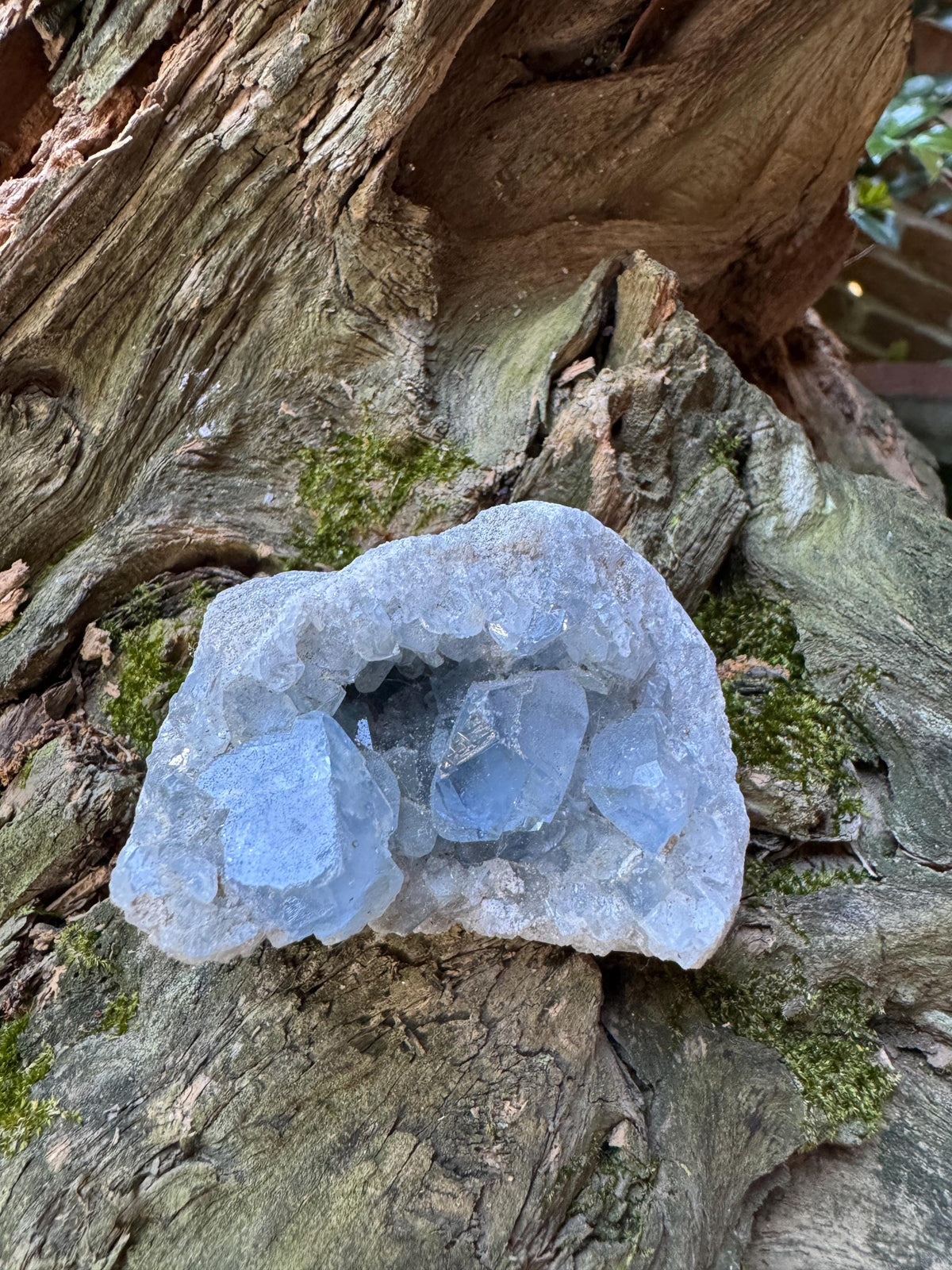 Sparkly Blue Celestine/Celestite Geode 198g Specimen, Madagascar Mineral Crystal