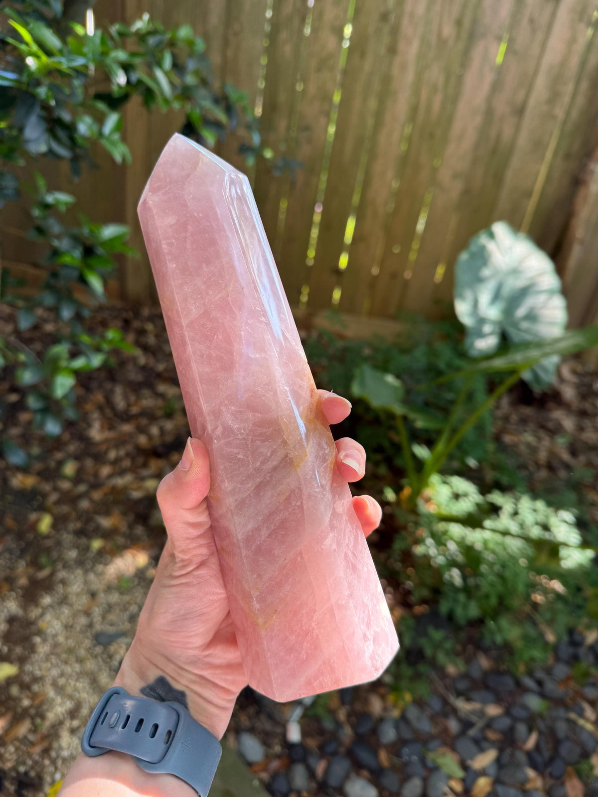 Polished Rose Quartz Tower, From Madagascar, 1180g 2lb 9.7oz Crystal, Specimen Mineral