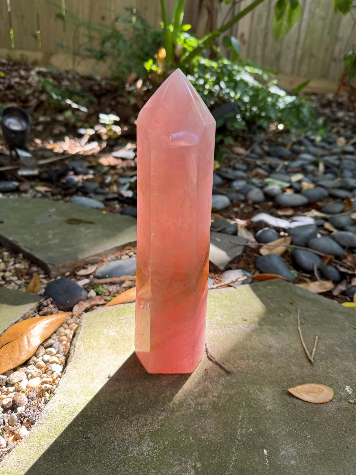 Polished Rose Quartz Tower, From Madagascar, 1180g 2lb 9.7oz Crystal, Specimen Mineral