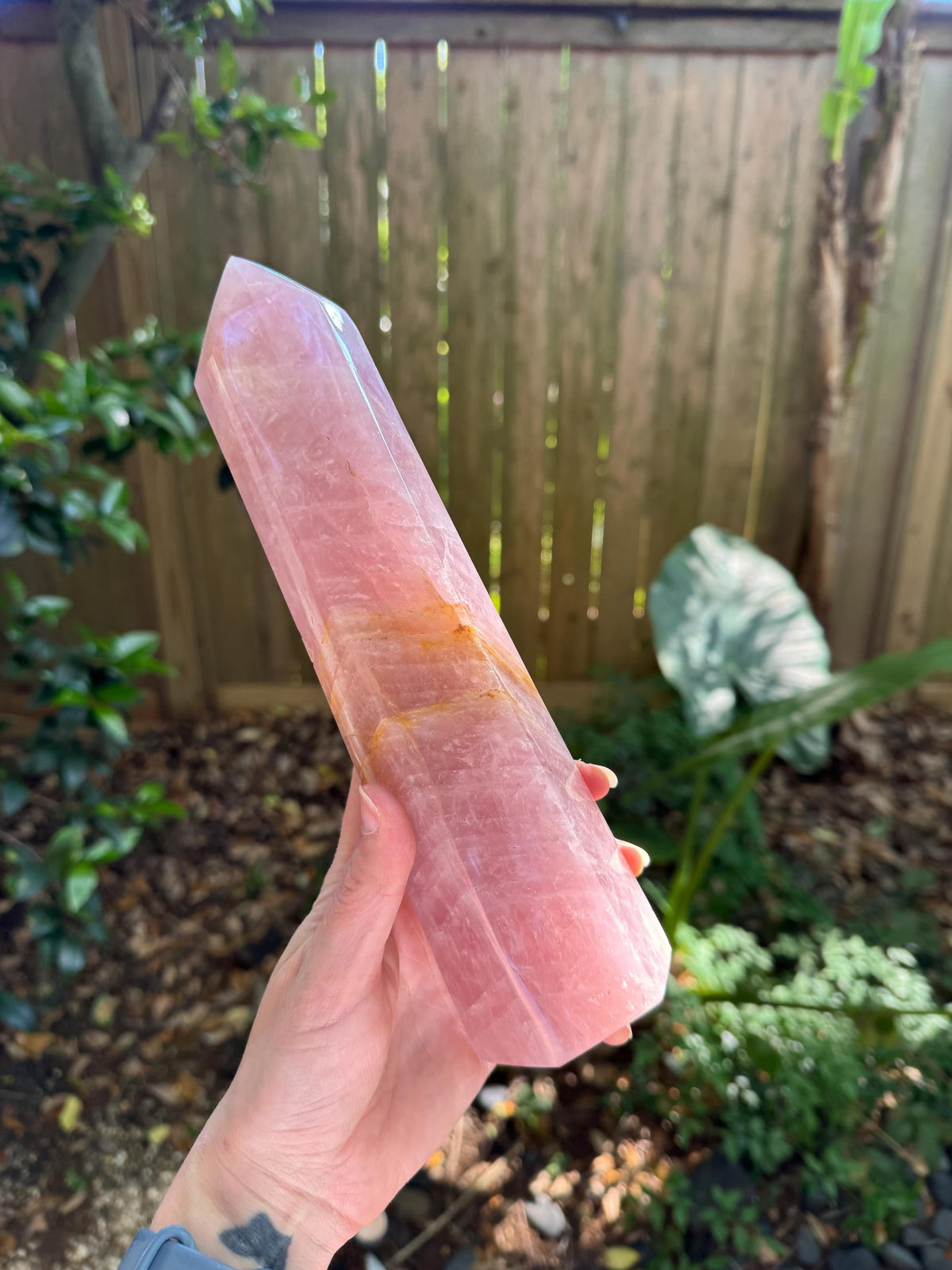 Polished Rose Quartz Tower, From Madagascar, 1180g 2lb 9.7oz Crystal, Specimen Mineral