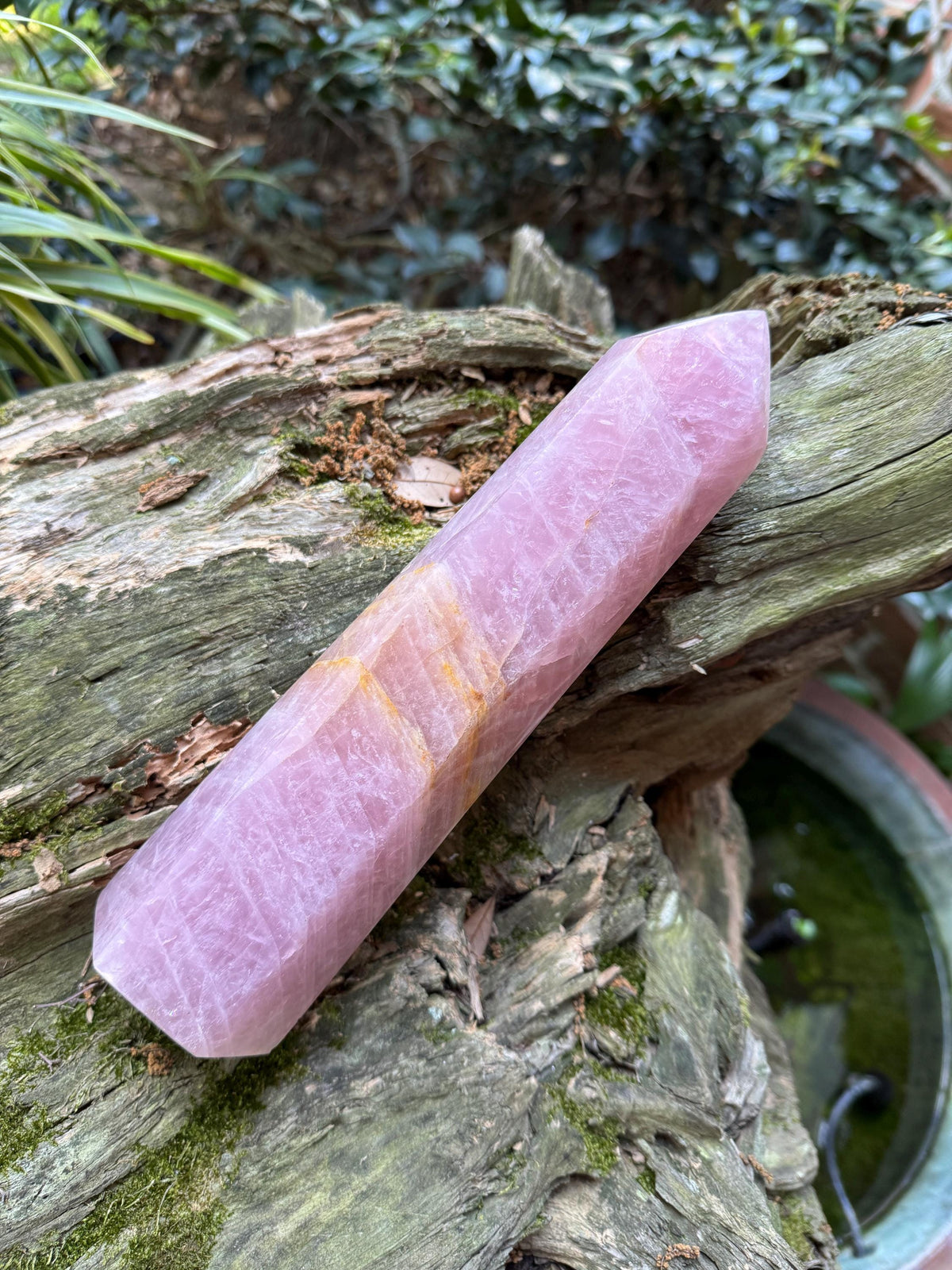 Polished Rose Quartz Tower, From Madagascar, 1180g 2lb 9.7oz Crystal, Specimen Mineral