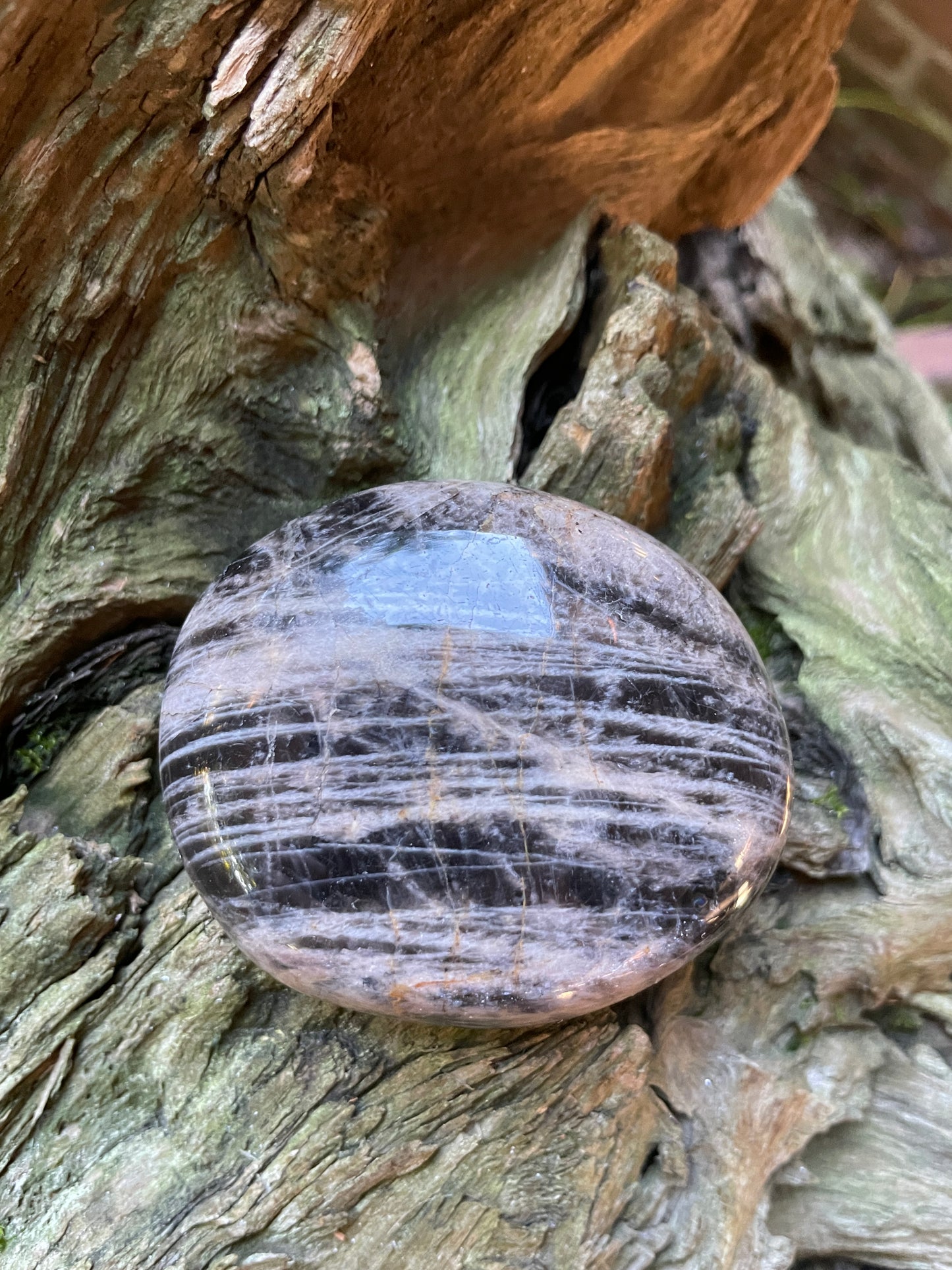 Black Moonstone Palm Stone Gallete 143.2g Specimen From Madagascar Mineral Crystal