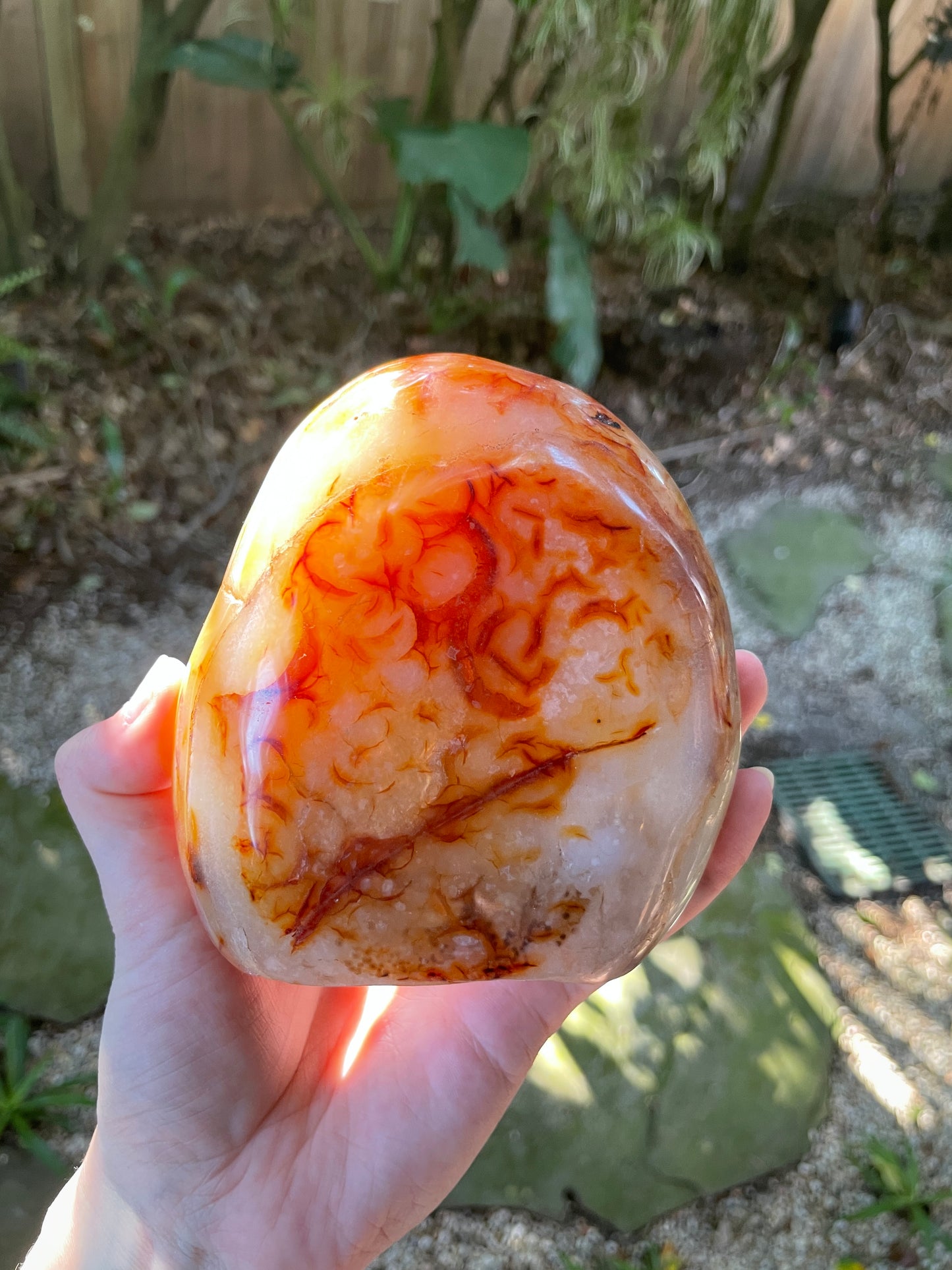Carnelian Free Form Specimen 1066g 2lbs 5.6oz From Madagascar Specimen Crystal