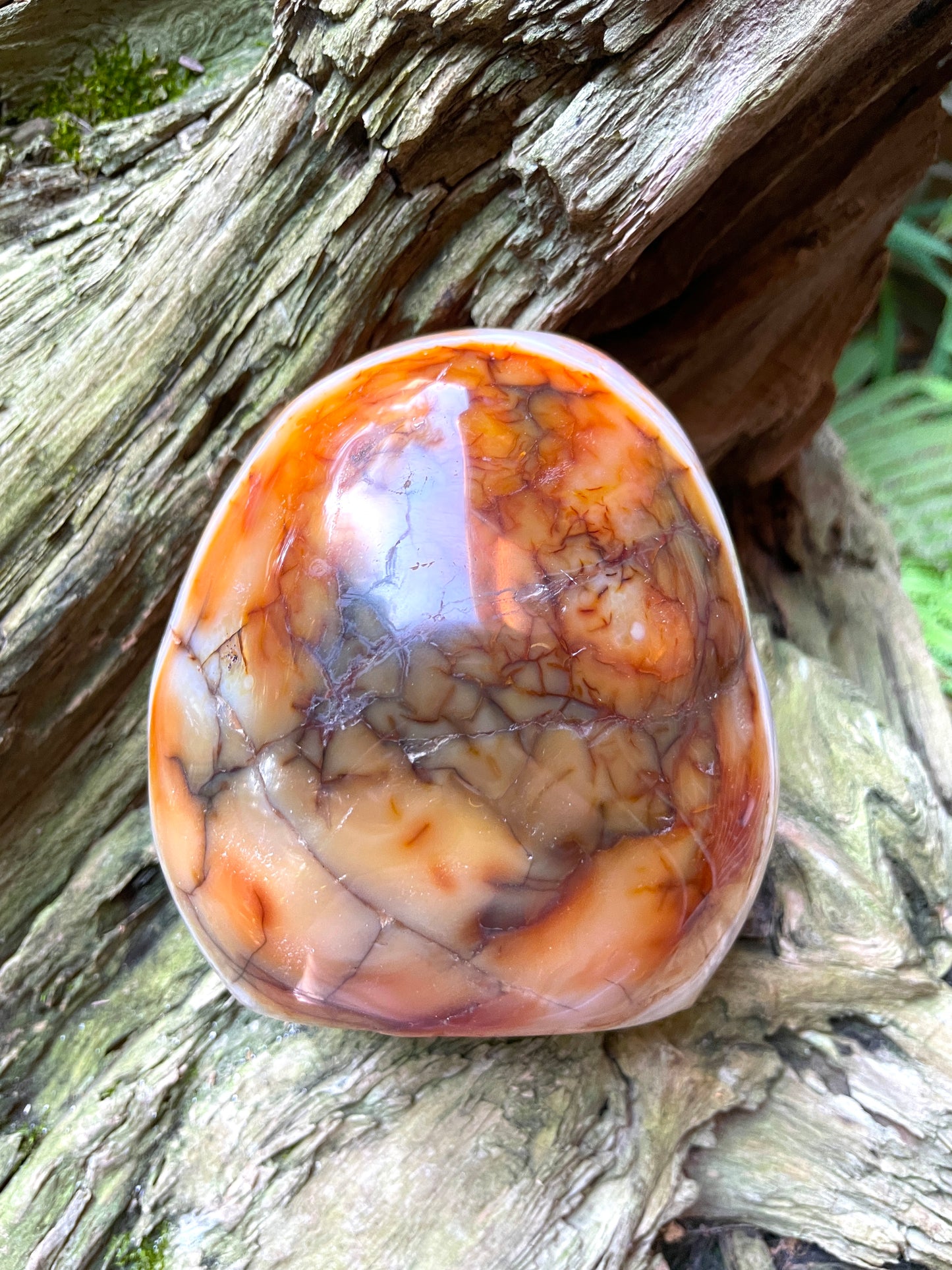 Carnelian Free Form Specimen 1066g 2lbs 5.6oz From Madagascar Specimen Crystal