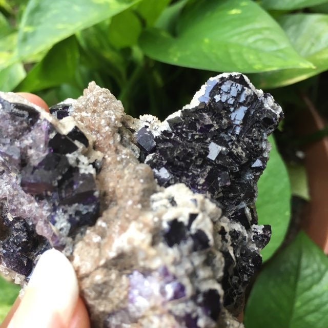 Deep Purple Cubic Fluorite and Calcite Specimen from Mina Esperanza 275g, Mexico