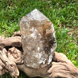 Smokey Citrine Brazilian Quartz With Tourmaline Half Polished 1710g 2lb 12.4oz Minas Gerais