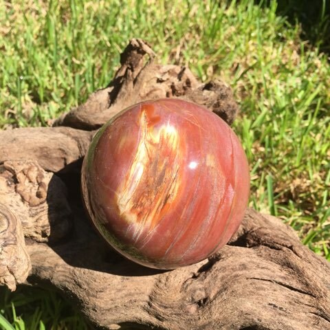 Polished Petrified Wood 95mm Sphere From Madagascar 1190g With Wood Stand