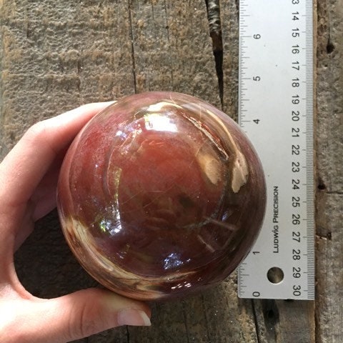 Polished Petrified Wood 95mm Sphere From Madagascar 1190g With Wood Stand