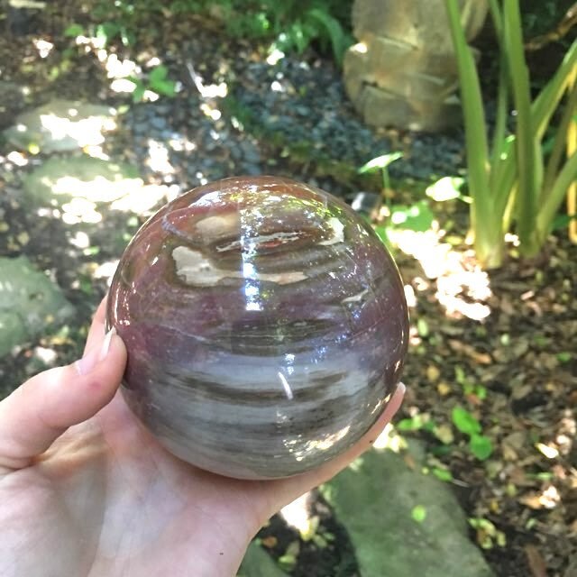 Polished Petrified Wood 95mm Sphere From Madagascar 1190g With Wood Stand