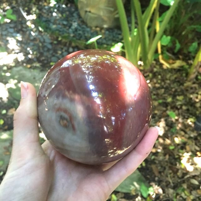 Polished Petrified Wood 95mm Sphere From Madagascar 1190g With Wood Stand