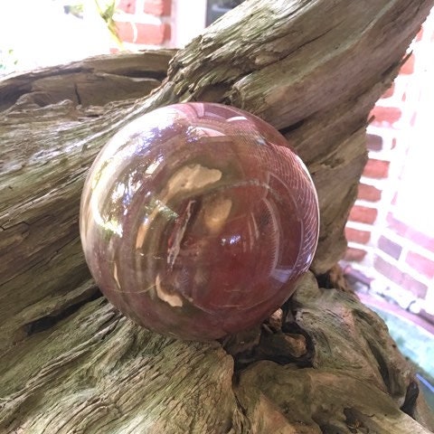 Polished Petrified Wood 95mm Sphere From Madagascar 1190g With Wood Stand