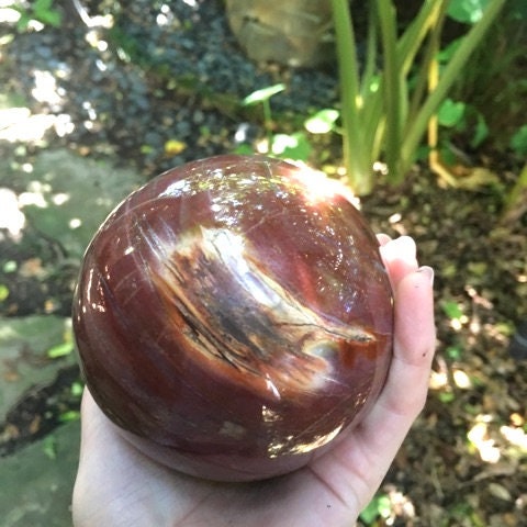 Polished Petrified Wood 95mm Sphere From Madagascar 1190g With Wood Stand