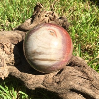 Polished Petrified Wood 95mm Sphere From Madagascar 1190g With Wood Stand