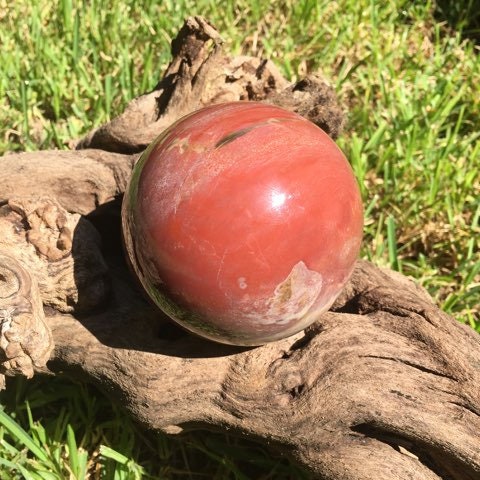 Polished Petrified Wood 95mm Sphere From Madagascar 1190g With Wood Stand