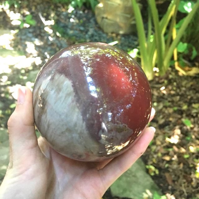 Polished Petrified Wood 95mm Sphere From Madagascar 1190g With Wood Stand