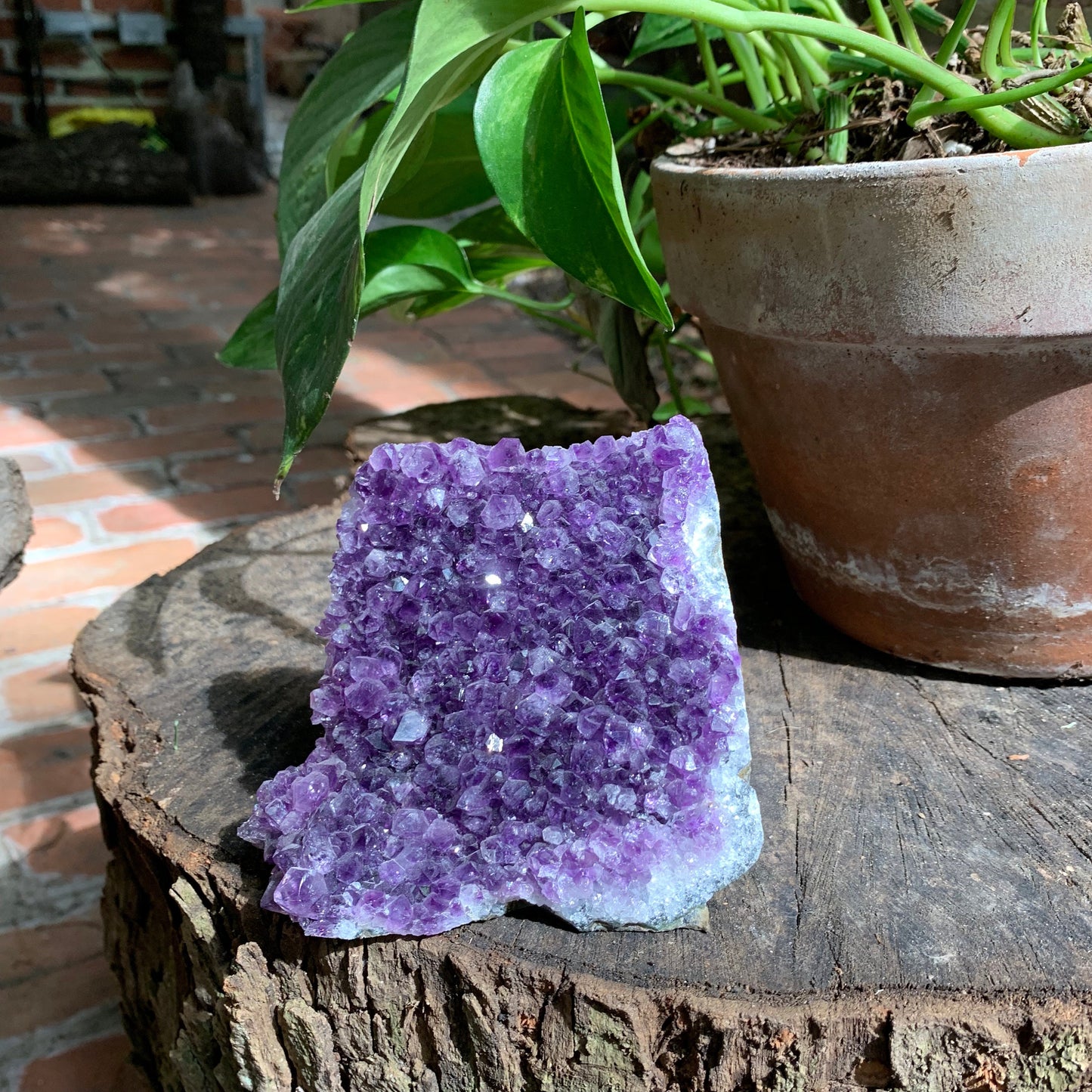 Self Standing Uruguay Amethyst 660g Specimen