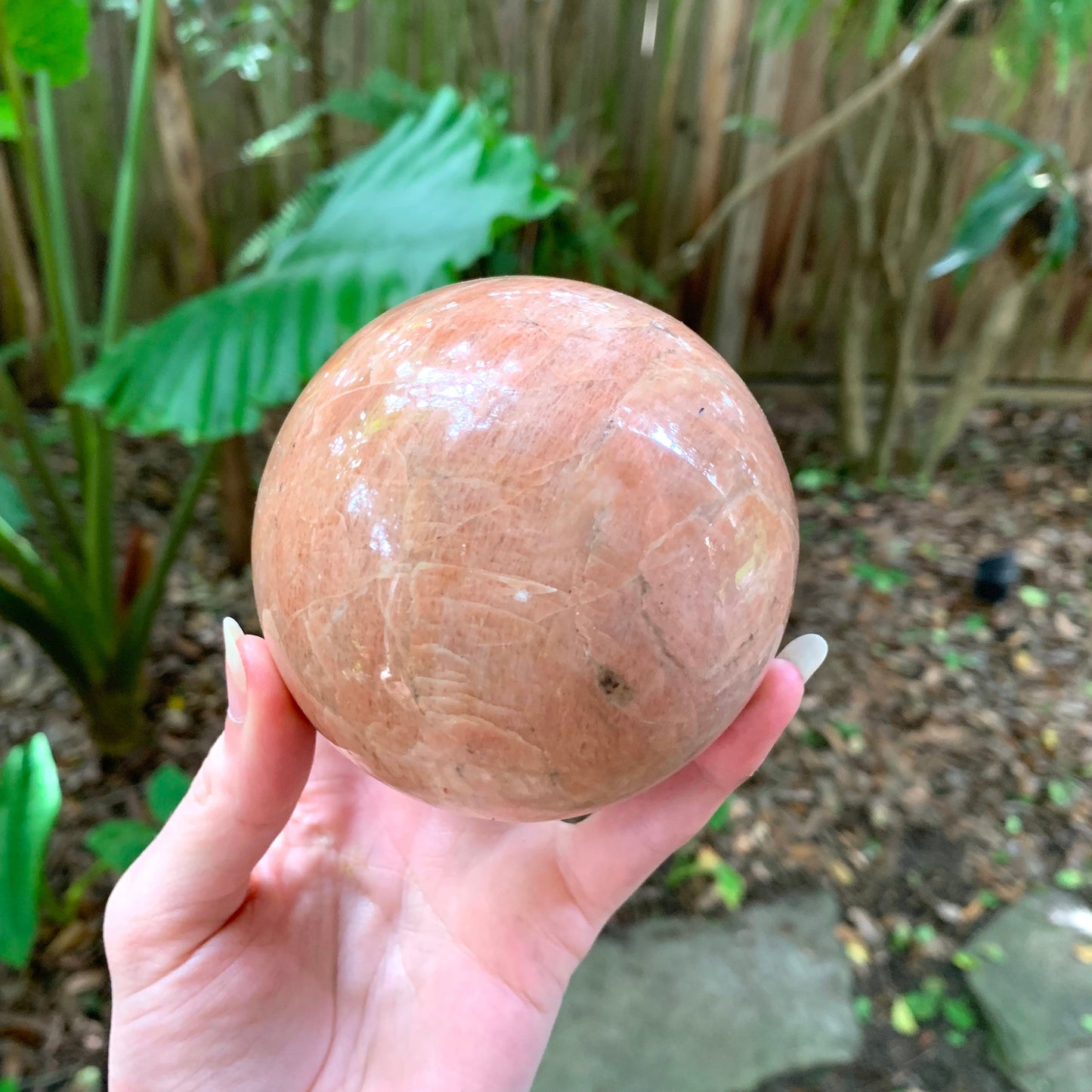 Polished Peach Moonstone Sphere 895g 88mm 3.48" with Wood Stand From Madagascar Specimen