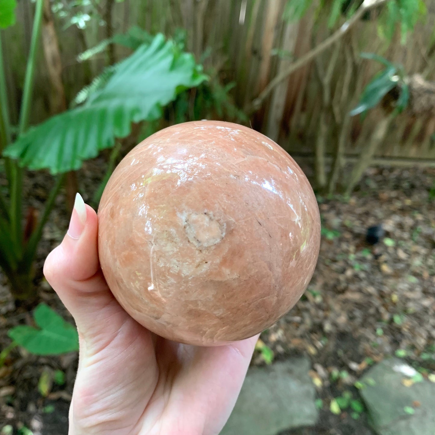 Polished Peach Moonstone Sphere 895g 88mm 3.48" with Wood Stand From Madagascar Specimen