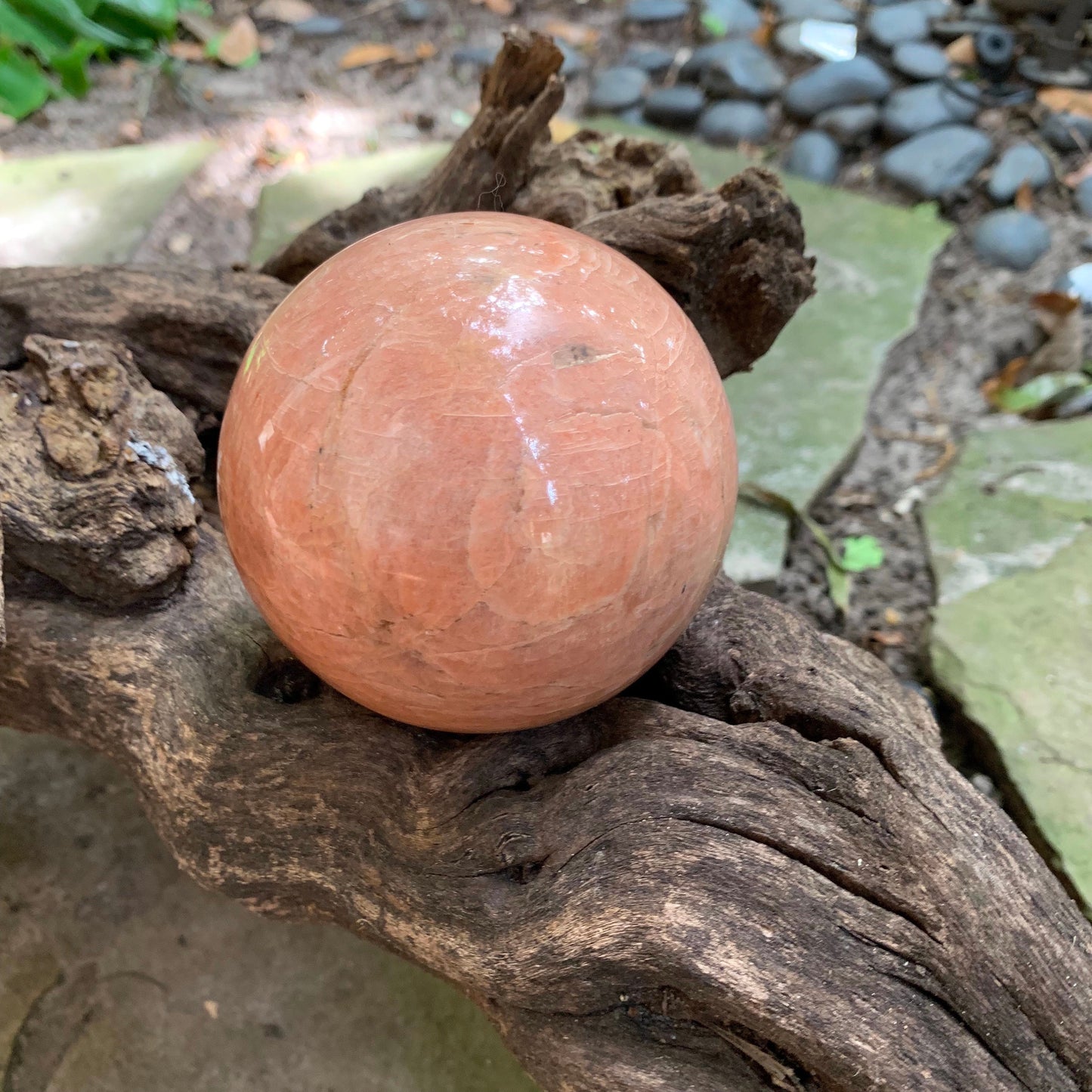 Polished Peach Moonstone Sphere 895g 88mm 3.48" with Wood Stand From Madagascar Specimen