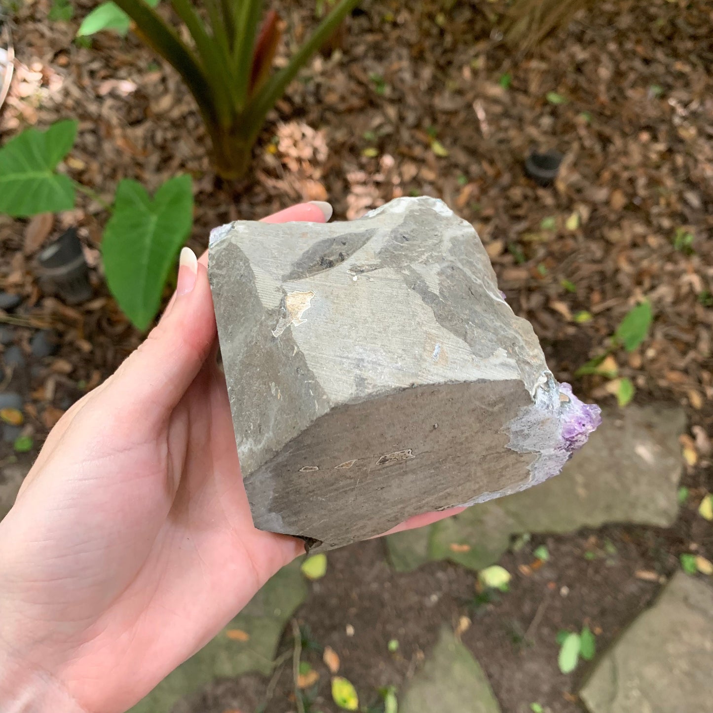 Self Standing Uruguay Amethyst 660g Specimen