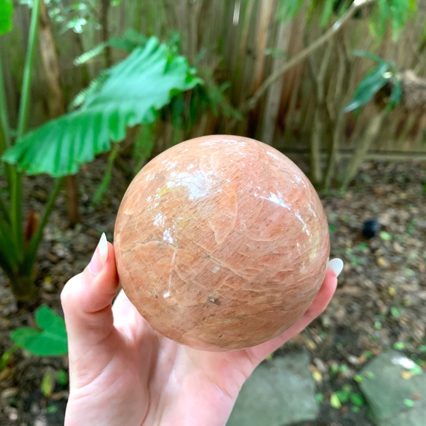 Polished Peach Moonstone Sphere 895g 88mm 3.48" with Wood Stand From Madagascar Specimen