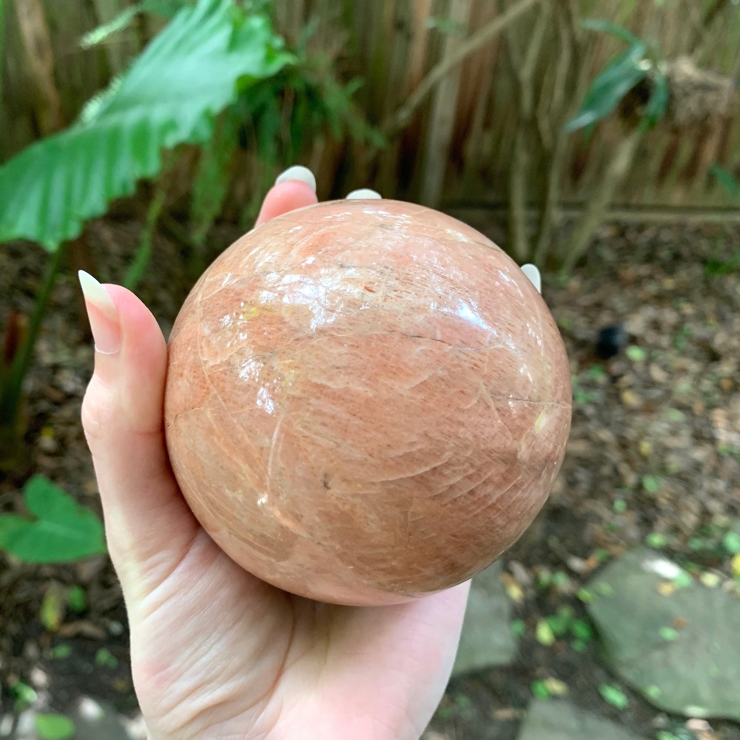 Polished Peach Moonstone Sphere 895g 88mm 3.48" with Wood Stand From Madagascar Specimen