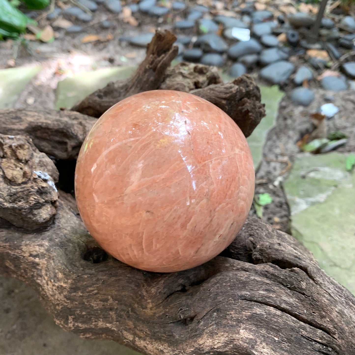 Polished Peach Moonstone Sphere 895g 88mm 3.48" with Wood Stand From Madagascar Specimen