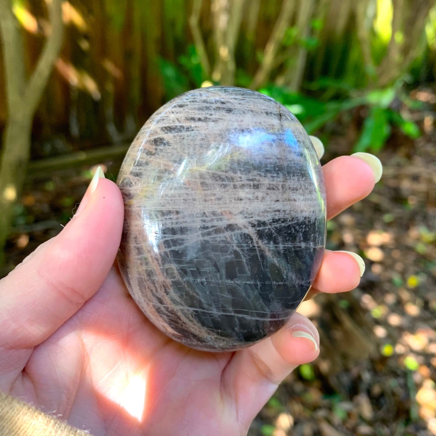 Black Moonstone Palm Stone Gallete 170g Specimen From Madagascar