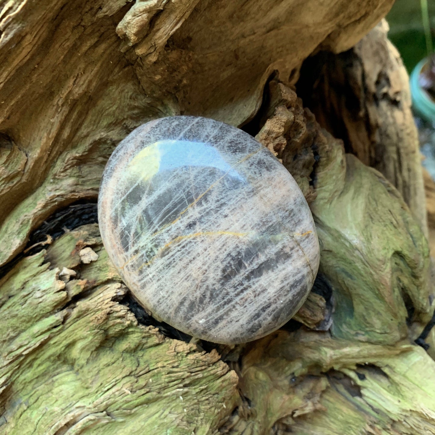 Black Moonstone Palm Stone Gallete 170g Specimen From Madagascar