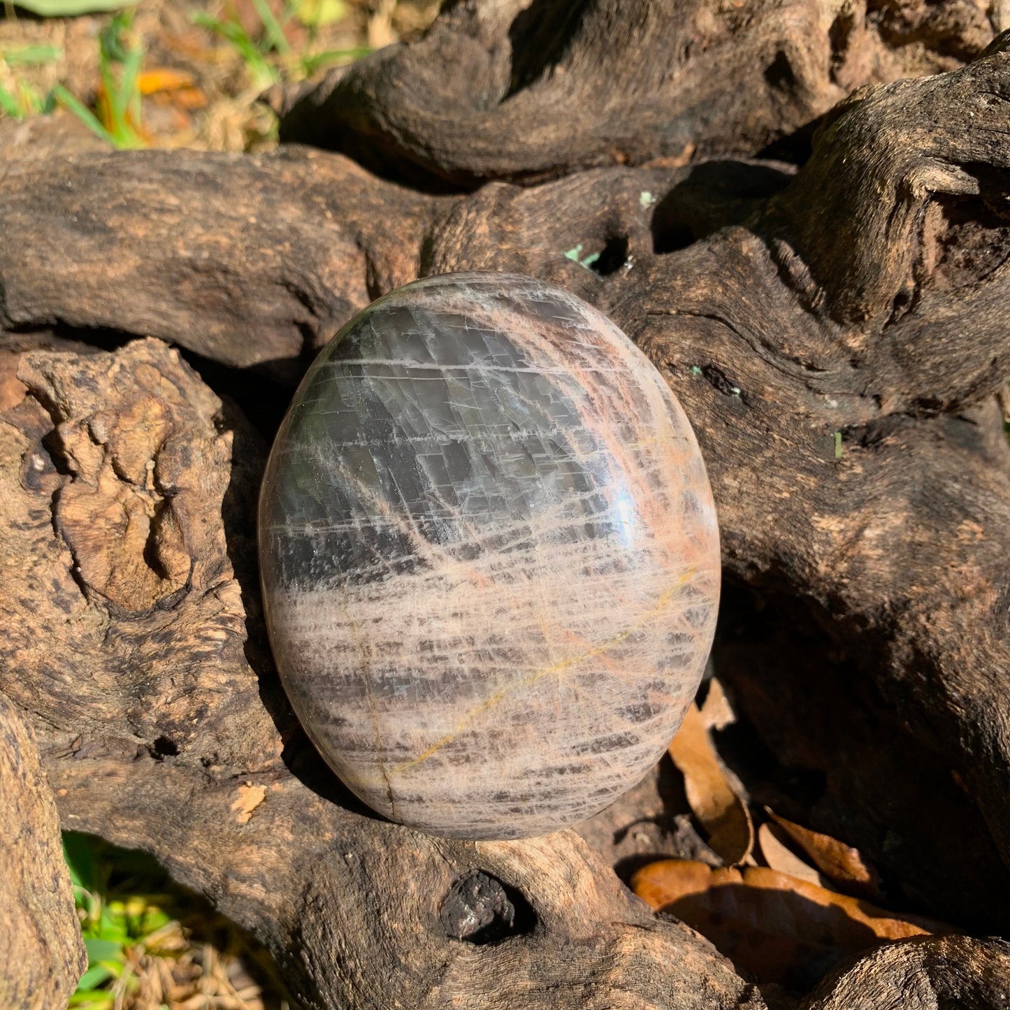 Black Moonstone Palm Stone Gallete 170g Specimen From Madagascar