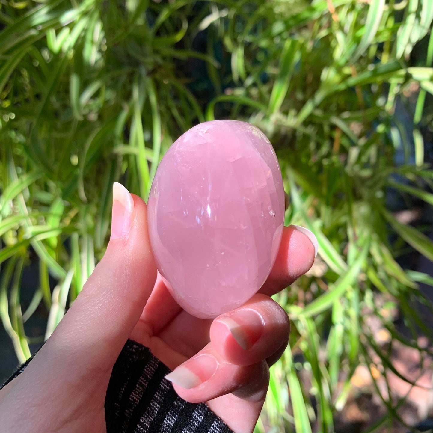 Polished Rose Quartz Palm Stone From Madagascar 137.2g Specimen