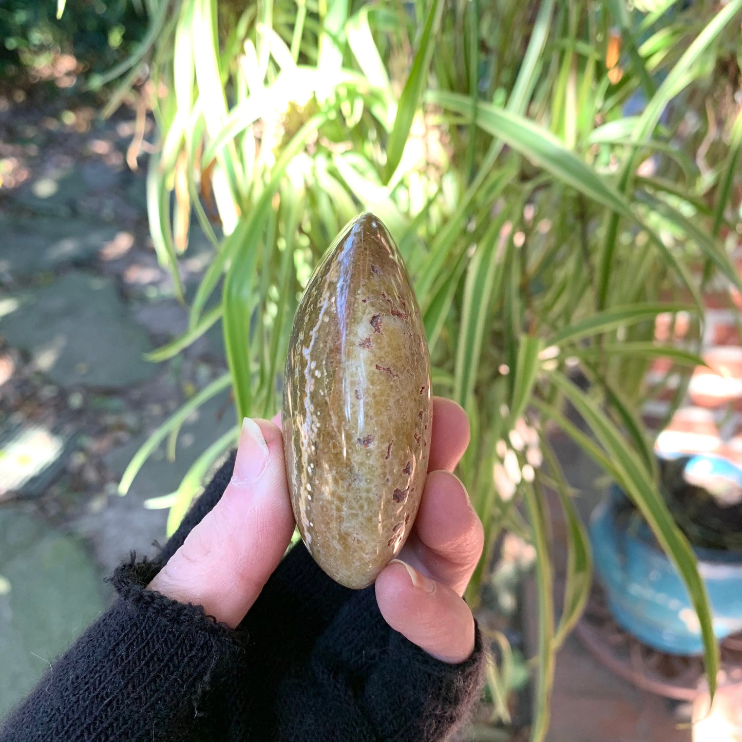 Ocean Jasper Palm Stone 148.6g  From Madagascar