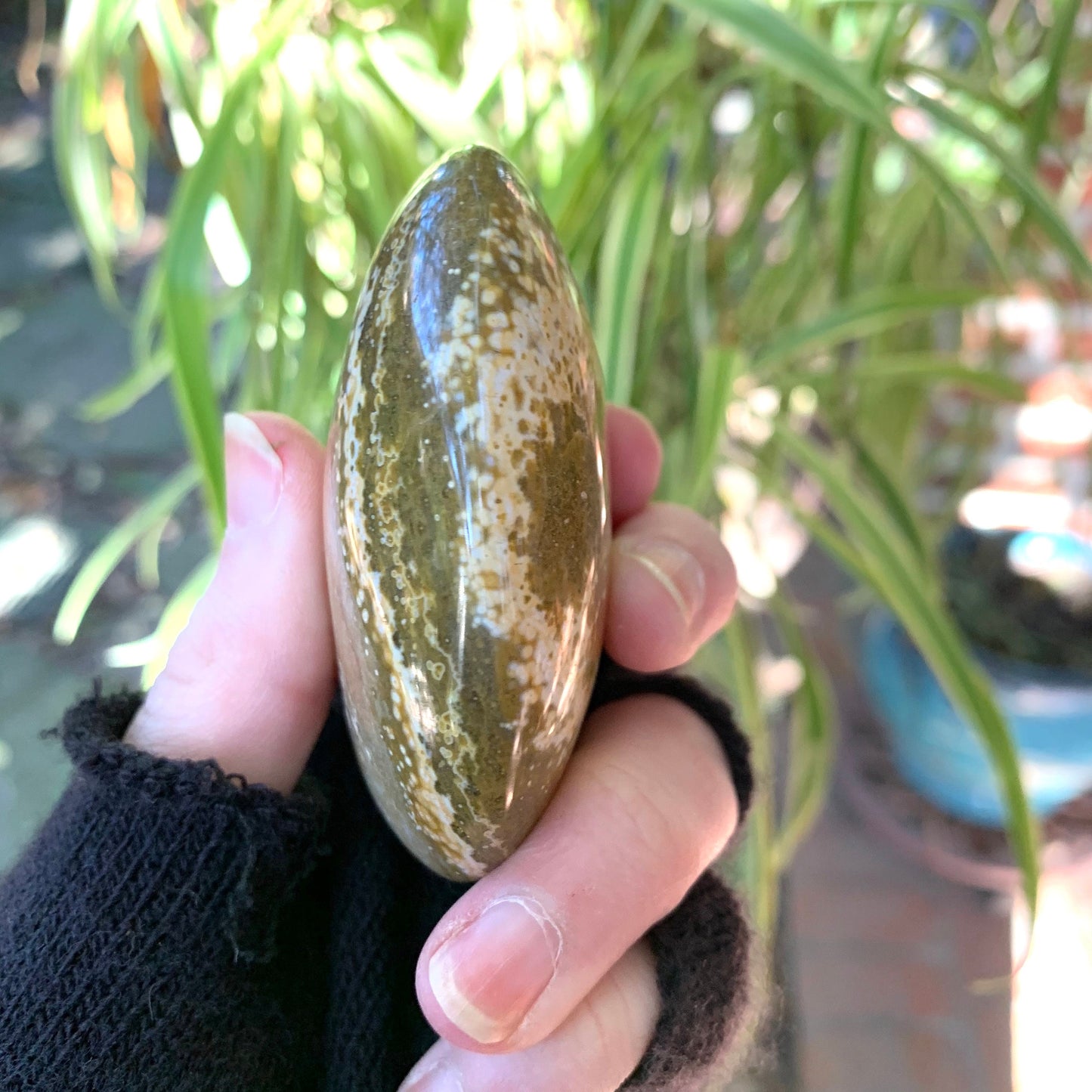 Ocean Jasper Palm Stone 148.6g  From Madagascar