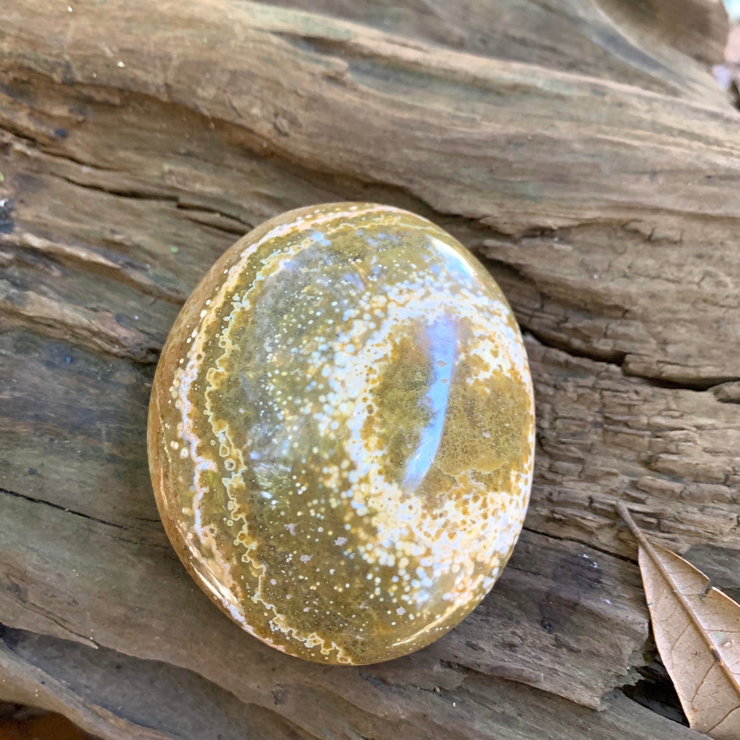 Ocean Jasper Palm Stone 148.6g  From Madagascar