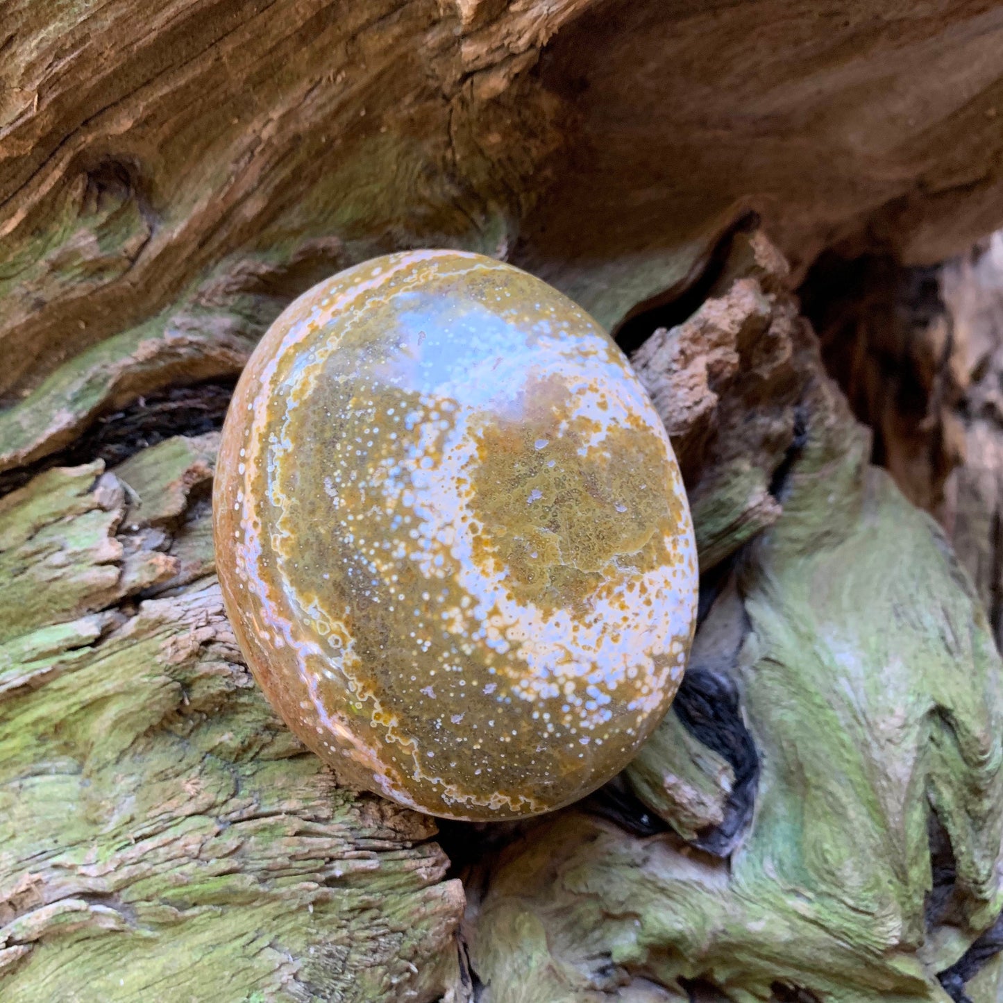 Ocean Jasper Palm Stone 148.6g  From Madagascar